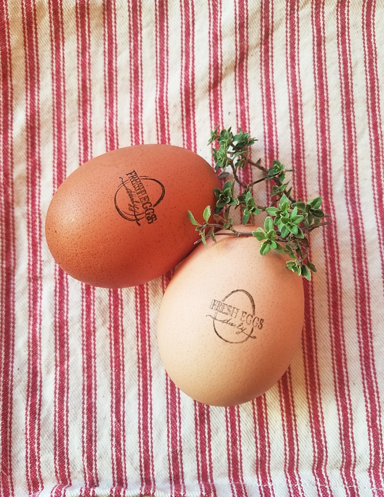 FRESH EGGS DAILY Mini Egg Ink Stamp for Chicken Etsy