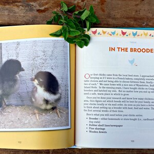 Signed Copy FRESH EGGS DAILY: Raising Happy Healthy Chickens ... Naturally. Chicken Keeping Book by Lisa Steele image 5