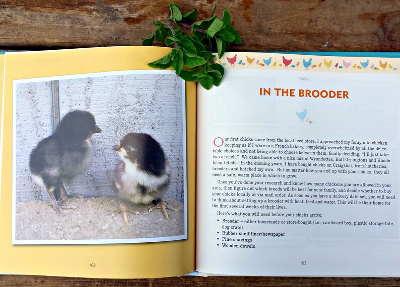 Signed Copy FRESH EGGS DAILY: Raising Happy Healthy Chickens ... Naturally. Chicken Keeping Book by Lisa Steele image 5