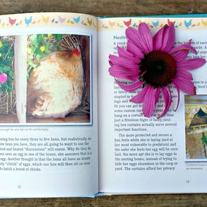 Signed Fresh Eggs Daily - Chicken Keeping Book by Lisa Steele image 3