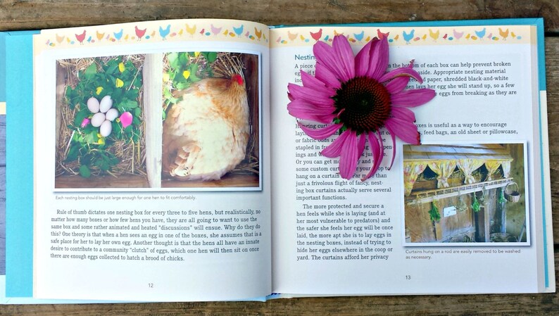 Signed Fresh Eggs Daily - Chicken Keeping Book by Lisa Steele image 3