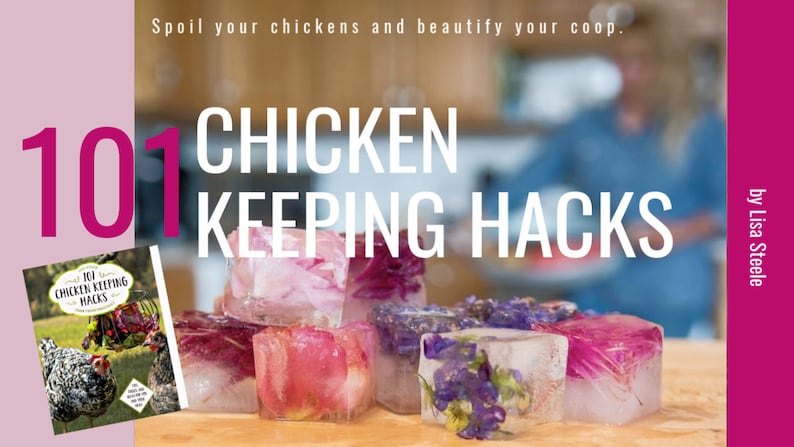 May include: A book titled "101 Chicken Keeping Hacks" by Lisa Steele with a pink background and a pile of ice cubes with flowers frozen inside.