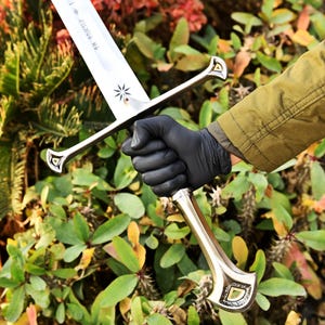 May include: A silver-colored sword with a decorative handle and crossguard. The blade has etched text and a star design. The handle is gold-colored with a decorative design. The sword is held in a gloved hand against a backdrop of green foliage.