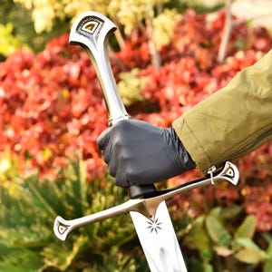 May include: A silver sword with a decorative handle and crossguard, held by a gloved hand. The blade features a starburst design. The sword is set against a backdrop of red and green foliage.