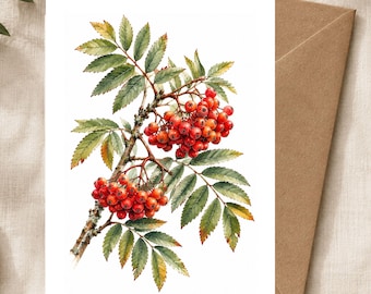 May include: A rectangular greeting card featuring a detailed watercolor illustration of a rowan branch with clusters of bright red berries and serrated green leaves. The card is positioned against a plain brown envelope, showcasing botanical art.