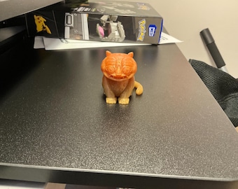 Derpy el gato de los cazadores de demonios del K-pop