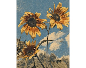 Sunflowers Art Print, Neutral Wall Decor, Full Bleed Poster, Vintage Inspired Modern Gallery Art