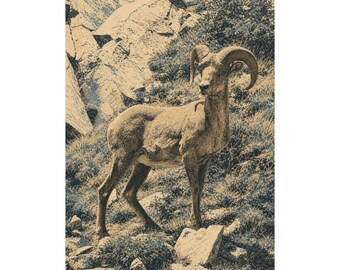 Bighorn Sheep Art Print, Vintage Inspired Neutral Gallery Poster