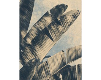 Palm Leaf Art Print, Vintage Inspired Neutral Gallery Poster