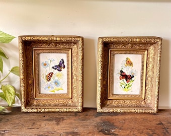 K Chin Butterfly Lithograph Set | 1970s Nature Art Matching Pair | Deep Baroque Shadowbox Framed Wall Art | Gilt Gesso Daisy Floral Print