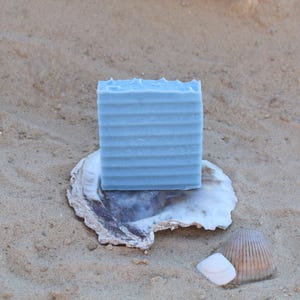 Può includere: Una saponetta rettangolare azzurra con scanalature orizzontali, appoggiata su una grande conchiglia. Il sapone ha una parte superiore strutturata ed è posto su una superficie sabbiosa con altre conchiglie.