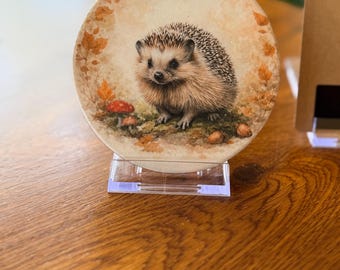 Hedgehog Awareness Week Coaster | Cute Woodland Hedgehog Gift | Limited Edition Wildlife Coaster | Animal Lover Gift | Nature Home Decor UK