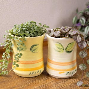 May include: Two ceramic planters, one yellow and one cream, each holding trailing plants. The yellow planter has orange stripes and green leaf designs. The cream planter has similar designs. Both are on a wooden surface.