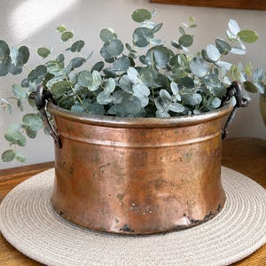 May include: A round, weathered copper pot with a wide rim and two dark metal side handles. The pot contains a lush arrangement of silver-green eucalyptus branches with small, rounded leaves, creating a contrast between the metal and foliage.