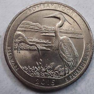 Könnte beinhalten: Eine silberfarbene 2015 Bombay Hook Quarter-Münze aus Delaware mit einem Reliefdesign eines Kanadareiher, der in einem Sumpf steht, während ein zweiter Reiher nach Nahrung sucht, sowie dem Text BOMBAY HOOK, DELAWARE und E PLURIBUS UNUM.