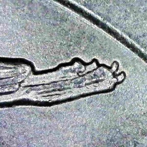 2018-P Block Island Quarter Error | Die Chip Feathers, Feet, Washington's Head Coin