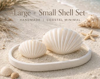 Minimal, coastal, and sculptural- a perfectly paired shell SET designed to elevate any space. Large and small shell with tray