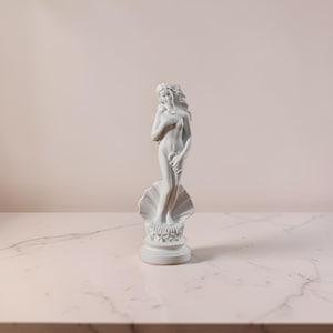 Può includere: Una statua bianca di Venere, la dea romana dell'amore e della bellezza, si erge su una base a conchiglia. La statua è una rappresentazione classica della forma femminile, con capelli fluenti e una posa modesta. La scultura è un oggetto decorativo.