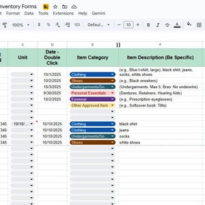 Peut inclure: Tableur numérique intitulé "Patient Belongings Inventory Forms" avec des colonnes pour les informations sur les patients, les catégories d'articles et les descriptions. Exemples : vêtements, chaussures et effets personnels.