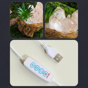May include: Two images show a quartz crystal cluster with a small green plant in a wooden base. The top left image shows the plant and quartz in a close-up view. The top right image shows the quartz and plant from a different angle. The bottom image shows a white USB cable with a control panel that has plus, light, minus, and on/off buttons.