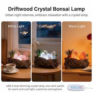 May include: A driftwood crystal bonsai lamp with three lighting options: white, cool, and warm. The lamp features a wooden base, crystals, and a small plant. The text on the image says "Driftwood Crystal Bonsai Lamp".