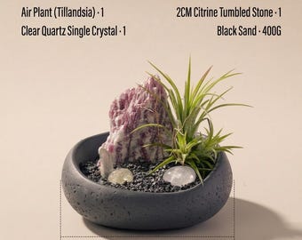 Puede incluir: Una maceta ovalada de color gris oscuro con turmalina rosa flor de ciruelo, planta aérea, cuarzo transparente, cuarzo blanco y piedras rodadas de citrino. La maceta mide aproximadamente 13,5 cm de ancho.