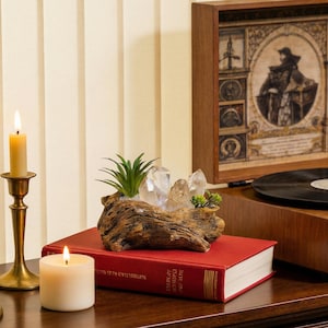 May include: A decorative centerpiece featuring a weathered wood planter with clear quartz crystals and small green plants. The planter sits atop a red book, with a lit candle and a vintage record player in the background.