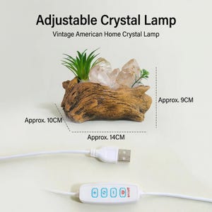 May include: Adjustable crystal lamp with a wooden base, clear crystals, and greenery. The lamp is approximately 10 cm high, 14 cm wide, and 9 cm deep. It includes a USB cable and an on/off control.