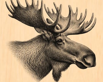 Moose Head Engraving Design PNG, Laser Ready Wildlife Art, Rustic Cabin Wall Decor File
