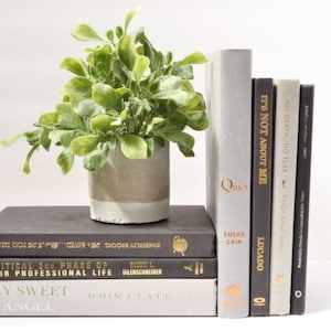 Stack of Books by Color BLACK AND GRAY Decorative Books with Gold, Silver, Copper Foiling Bestselling Home Decor image 4