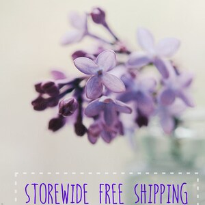 May include: A close-up shot of lilac flowers, showcasing their soft purple hues and delicate petals. The background is blurred, creating a dreamy effect. The image is of a floral theme.