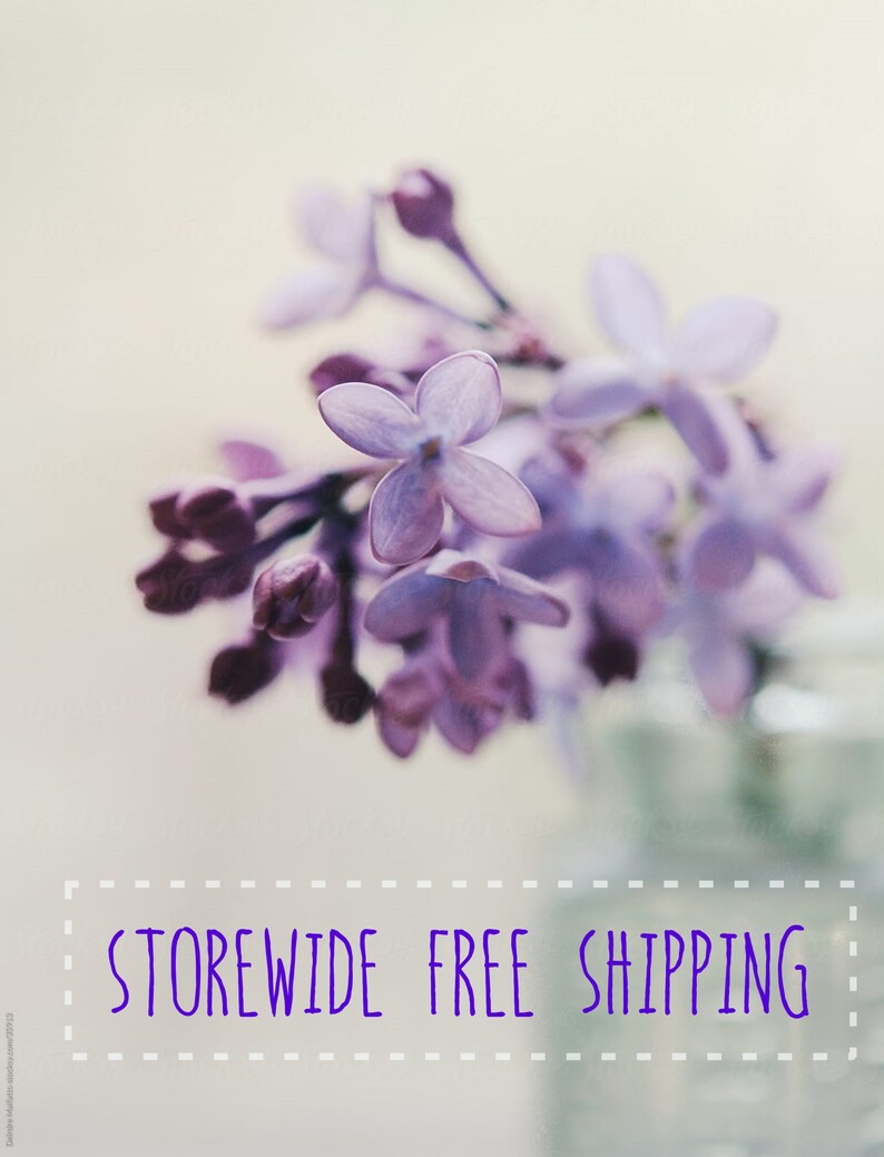 May include: A close-up shot of lilac flowers, showcasing their soft purple hues and delicate petals. The background is blurred, creating a dreamy effect. The image is of a floral theme.