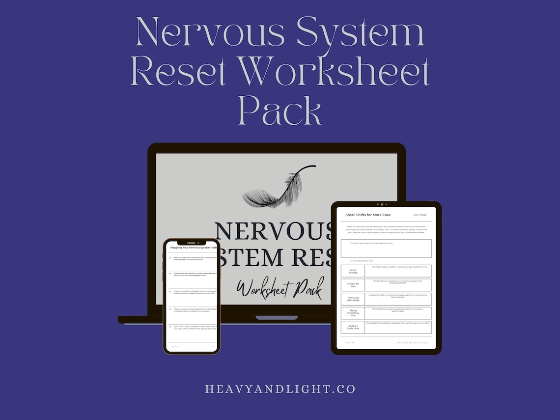 Nervous System Reset Printable Worksheets Check in Regulation Toolkit 4 ...