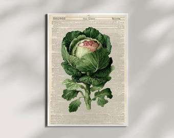 Cabbage Print, Botanical Kitchen Wall Art, Vegetable Poster Digital Download | Farmhouse Decor Printable