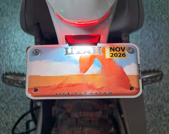 Stark Varg EX Minimal License Plate Mount for USA with LED support