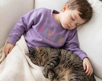 Sudadera infantil con nombre bordado personalizado, sudadera personalizada para niños pequeños, idea de regalo para bebé, regalo de cumpleaños para niños pequeños