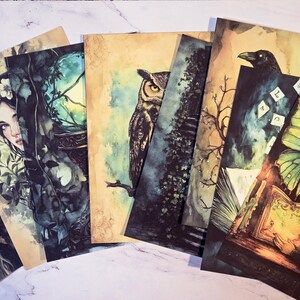 K&ouml;nnte beinhalten: Eine Sammlung von Kunstdrucken mit mystischen und Fantasy-Themen. Die Drucke zeigen Illustrationen einer Eule, eines Raben, einer Frau und eines Schmetterlings. Die Farbpalette umfasst Gr&uuml;n-, Braun- und Blaut&ouml;ne mit einer Vintage-&Auml;sthetik.