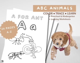 ABC Animals Coloring Pages for Kids | Alphabet A–Z | Printable | Letter Tracing Worksheets | 8.5x11 PDF