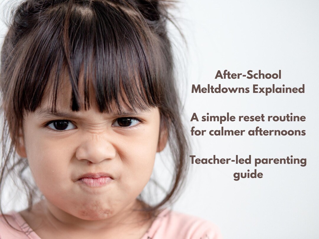 After School Meltdown Cheat Sheet | Emotional Regulation Tips (PDF ...