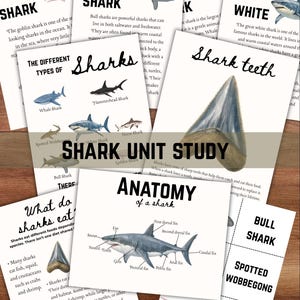 May include: A collection of educational printables titled Shark Unit Study, featuring illustrations and text about shark anatomy, types of sharks, and shark teeth. The pages include diagrams of a shark, images of various species, and informative text.