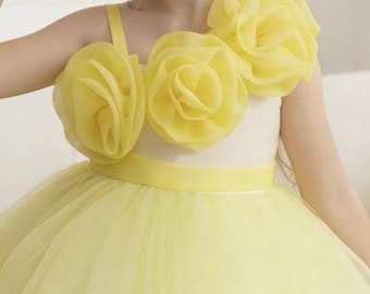 3D Floral Tulle Flower Girl Dress | Satin Bodice Birthday Gown