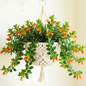 May include: A set of three ceramic nesting bowls in shades of blue, green, and white. The bowls feature a speckled glaze and a simple, modern design. The largest bowl measures approximately 7 inches in diameter.