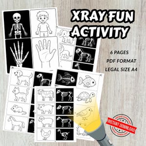 May include: A printable XRAY FUN ACTIVITY set consisting of 6 pages in PDF format, A4 size. The sheets feature black and white illustrations of animals and human anatomy paired with their corresponding skeletal structures for educational matching.