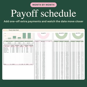 May include: A digital spreadsheet titled Month by Month Payoff schedule with the subtitle Add one-off extra payments and watch the date move closer. The interface displays a debt tracking dashboard named Planly Debt Melt with charts.