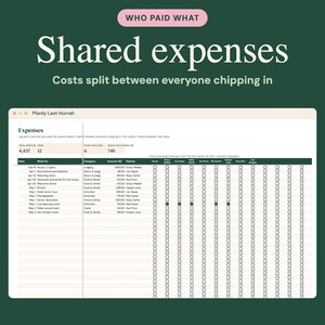May include: A digital spreadsheet titled Who Paid What Shared expenses with the subtitle Costs split between everyone chipping in. The interface displays a table labeled Expenses with columns for date, item, category, amount, and payer names.
