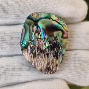 May include: An iridescent abalone shell cabochon featuring a polished, organic shape with a vibrant spectrum of colors including deep greens, blues, purples, and gold. The surface displays a natural, swirling pearlescent luster throughout.