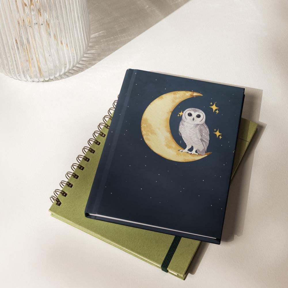 Celestial Owl Journal • Moon Hardcover Notebook • Watercolor Night Sky Diary • Cozy W