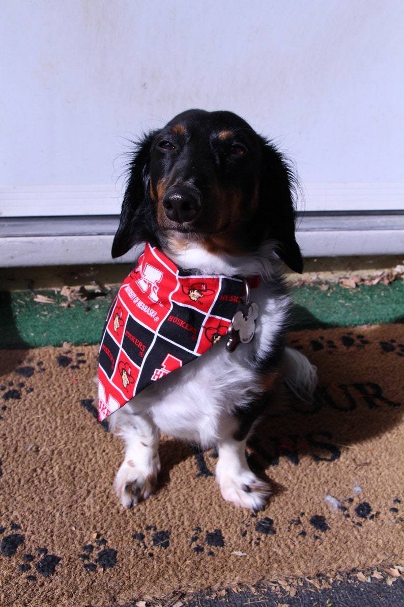 Reversible Seasonal Dog Bandanas 5 Pack