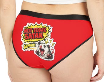 Funny Bikini Briefs, Funny Possum Women's Underwear, Pop Art Graphic Panties, Funny Intimate Gifts, Gift for Wife, Gag Gifts for Her