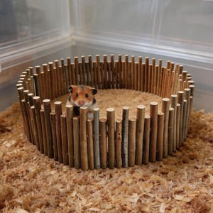 Peut inclure: Un petit hamster brun, noir et blanc se tient à l'intérieur d'un enclos circulaire fait de bâtons de bois verticaux. L'enclos est posé sur un lit de copeaux de bois brun clair dans un récipient en plastique transparent aux coutures visibles.